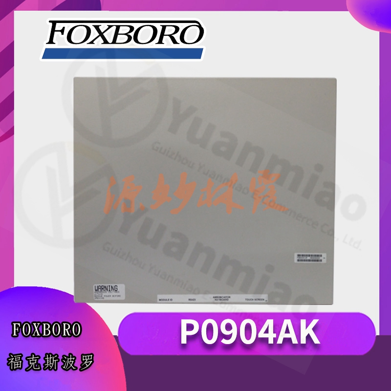 福克斯波罗  FOXBORO  A4H254-8F8T