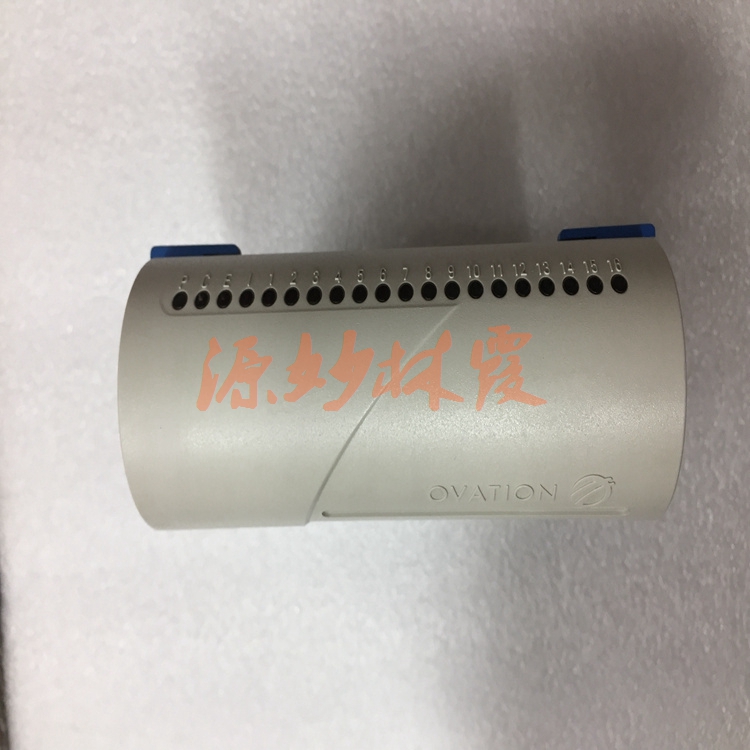 EMERSON艾默生 1C31025G05