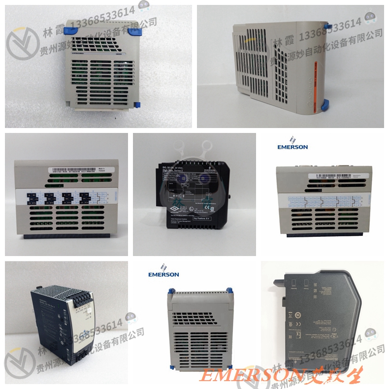 EMERSON艾默生 ELE301H02