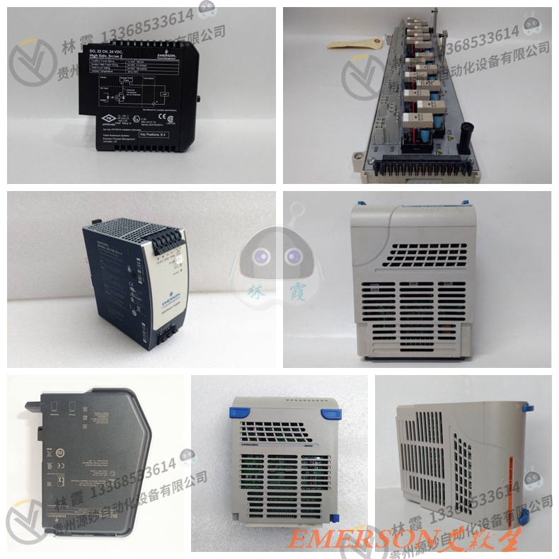 EMERSON艾默生 SM-PROFIBUS-DP