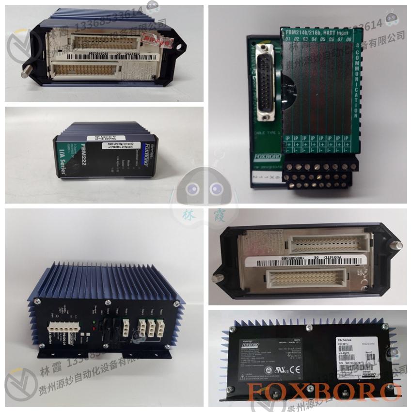 FOXBORO福克斯波罗 P0997PT  模块 现货 欧美进口