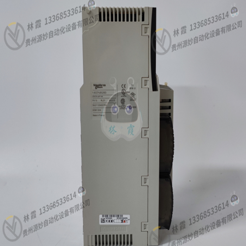 施耐德 Schneider 170ADM39030 全新现货 欧美进口 质保12个月