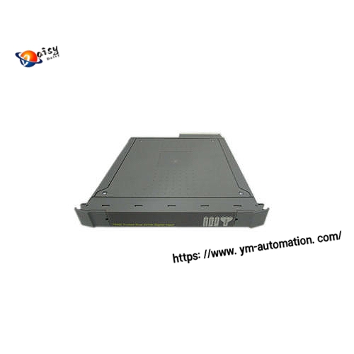 ICS TRIPLEX T8431C模拟输入模块